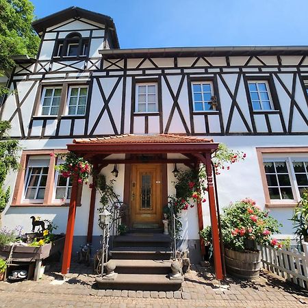 Gaestehaus Beurener Muehle Bad Bertrich Esterno foto